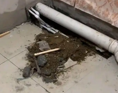 温泉卫生间漏水检测哪家好